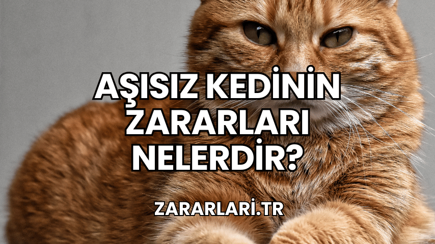 Aşısız Kedinin Zararları Nelerdir?