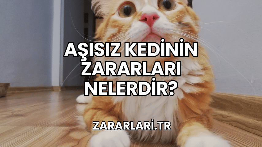 Aşısız Kedinin Zararları Nelerdir?