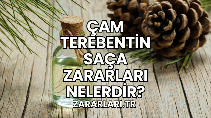 Çam Terebentin Saça Zararları Nelerdir?