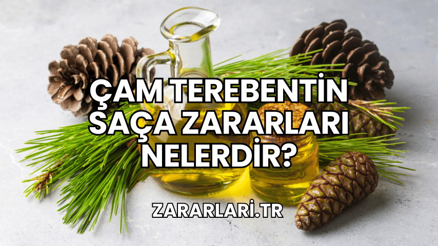 Çam Terebentin Saça Zararları Nelerdir?