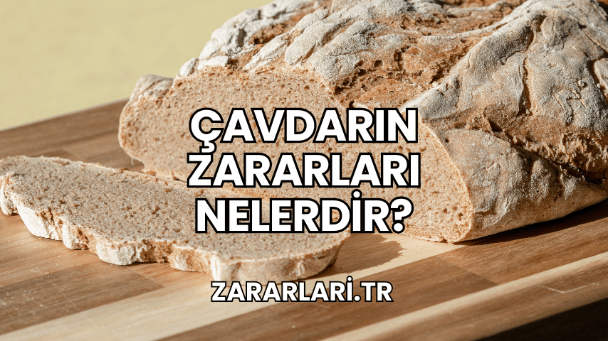 Çavdarın Zararları Nelerdir?