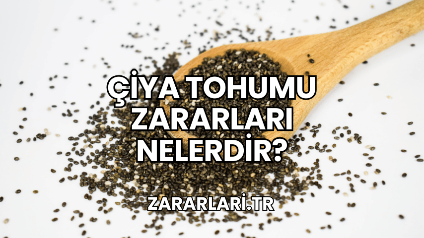 Çiya Tohumu Zararları Nelerdir?