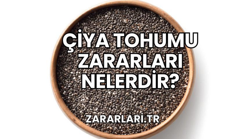 Çiya Tohumu Zararları Nelerdir?