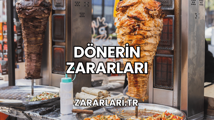 Dönerin Zararları