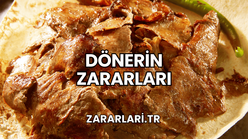 Dönerin Zararları