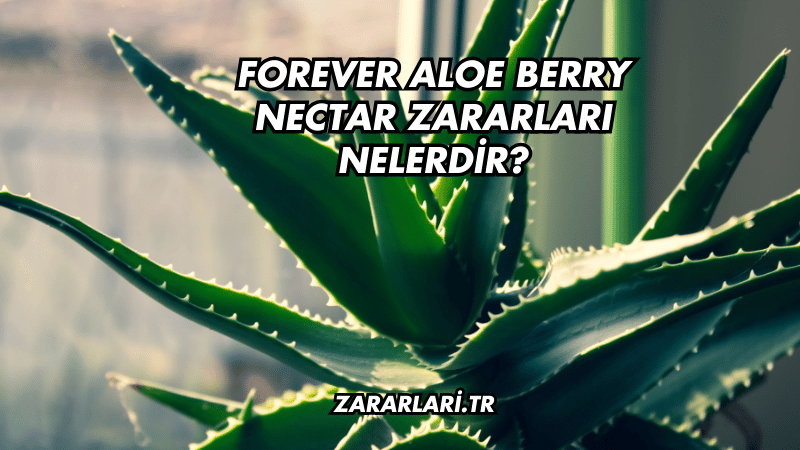 Forever Aloe Berry Nectar Zararları Nelerdir?