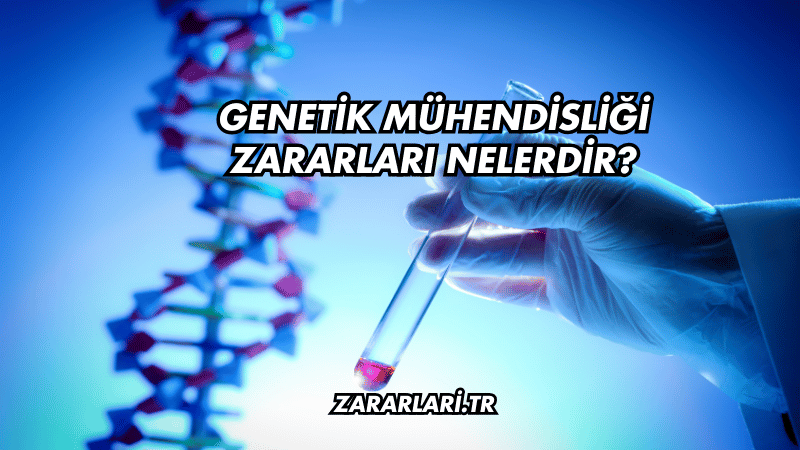 Genetik Mühendisliği Zararları Nelerdir?