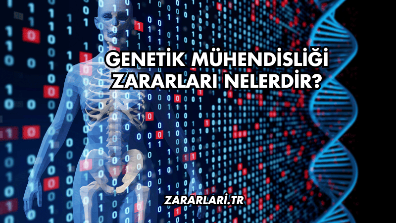 Genetik Mühendisliği Zararları Nelerdir?