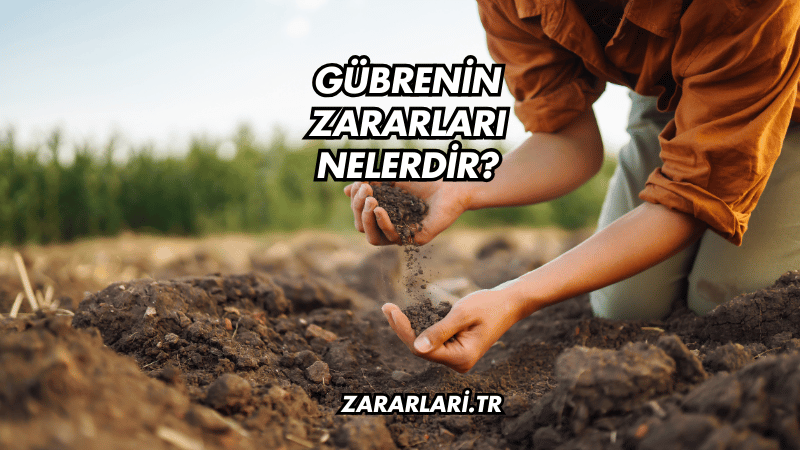 Gübrenin Zararları Nelerdir?