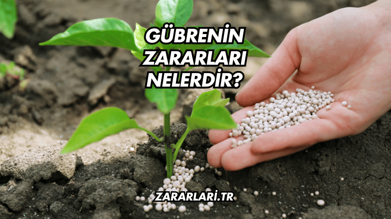 Gübrenin Zararları Nelerdir?