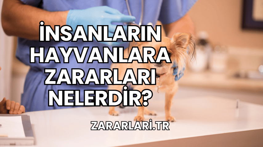 İnsanların Hayvanlara Zararları Nelerdir?