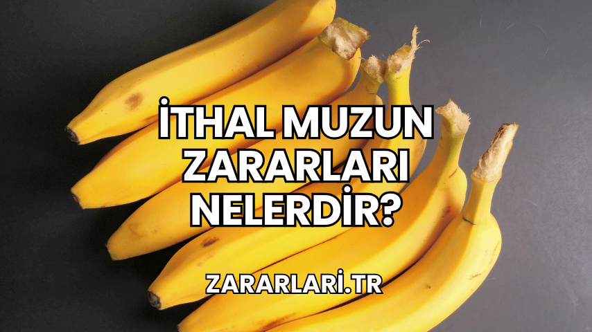 İthal Muzun Zararları Nelerdir?