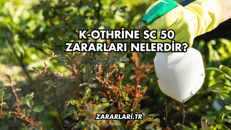 K-Othrine SC 50 Zararları Nelerdir?