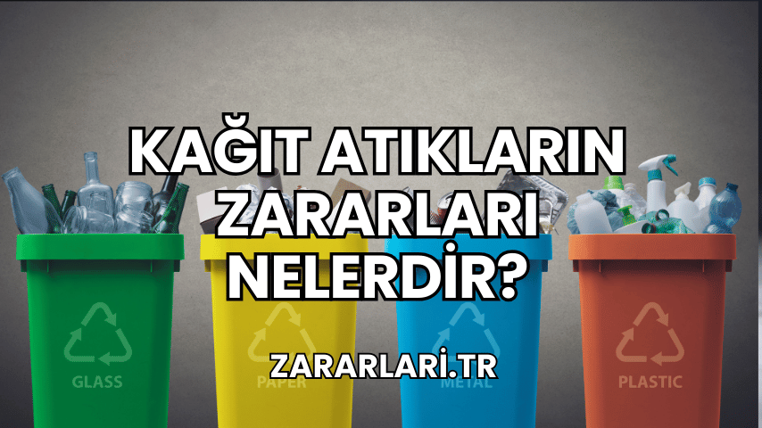 Kağıt Atıkların Zararları Nelerdir?