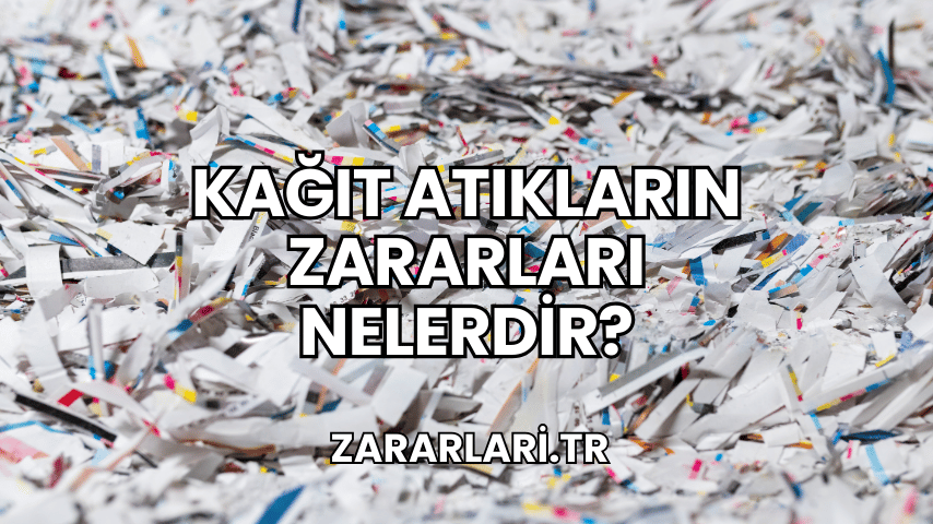 Kağıt Atıkların Zararları Nelerdir?