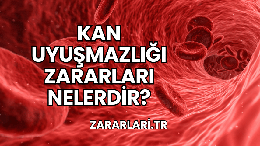 Kan Uyuşmazlığı Zararları Nelerdir?