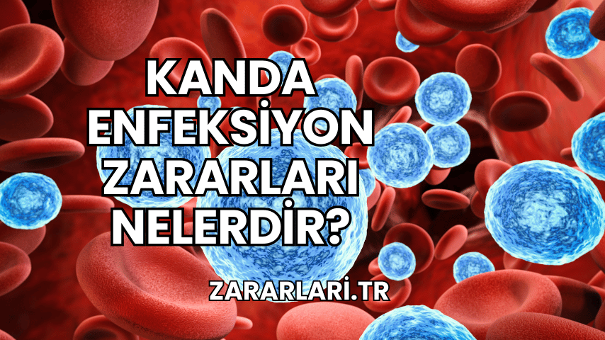 Kanda Enfeksiyon Zararları Nelerdir?