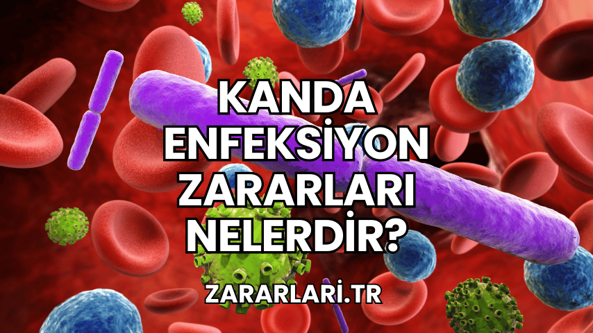 Kanda Enfeksiyon Zararları Nelerdir?