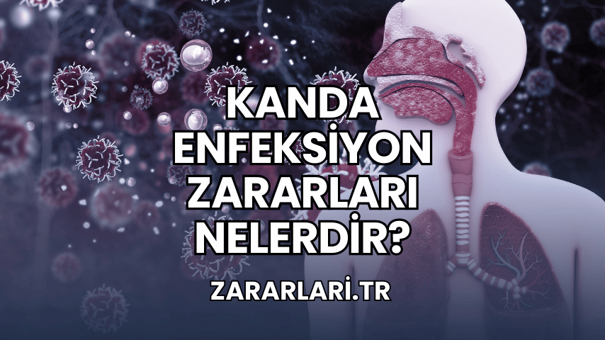 Kanda Enfeksiyon Zararları Nelerdir?