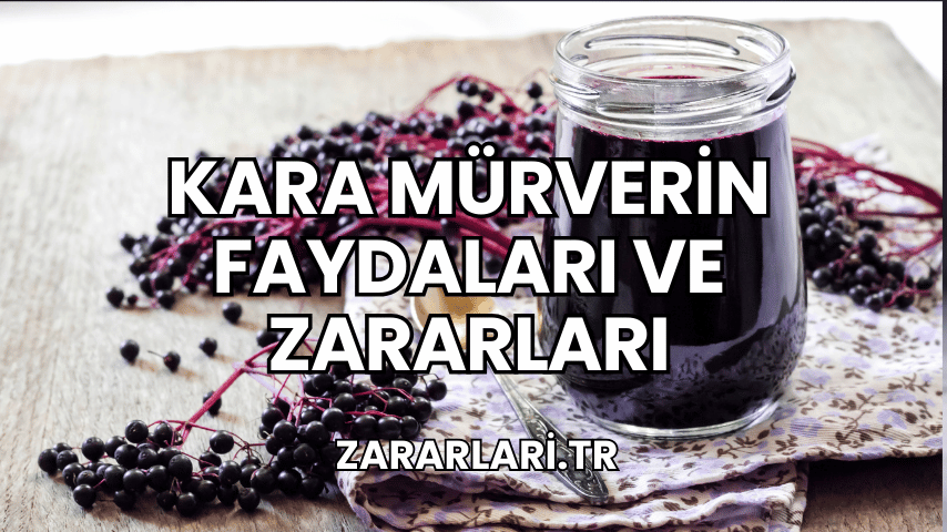 Kara Mürverin Faydaları ve Zararları