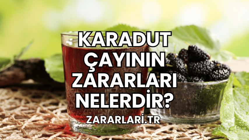 Karadut Çayının Zararları Nelerdir?