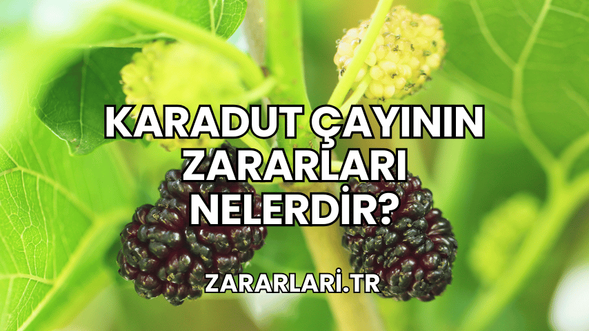 Karadut Çayının Zararları Nelerdir?