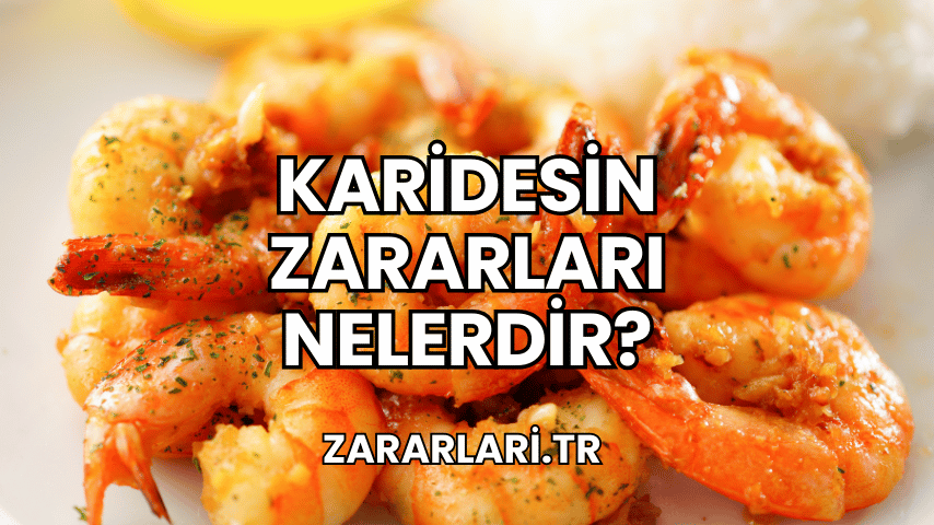 Karidesin Zararları Nelerdir?