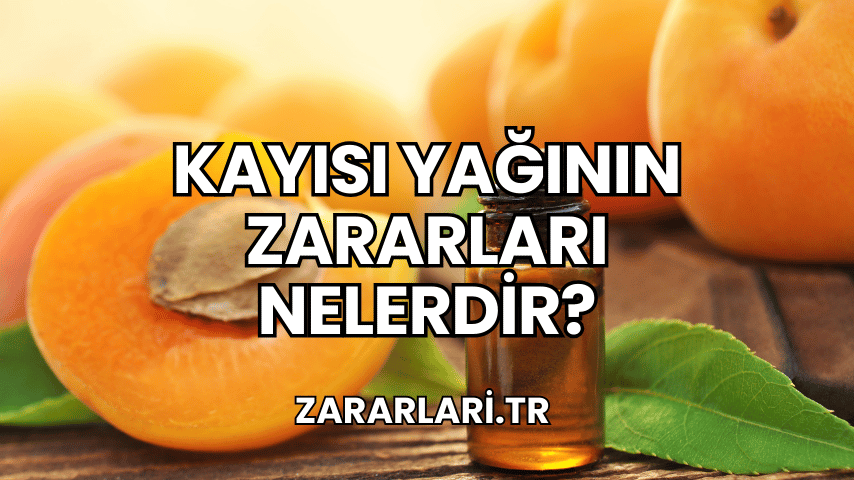 Kayısı Yağının Zararları Nelerdir?