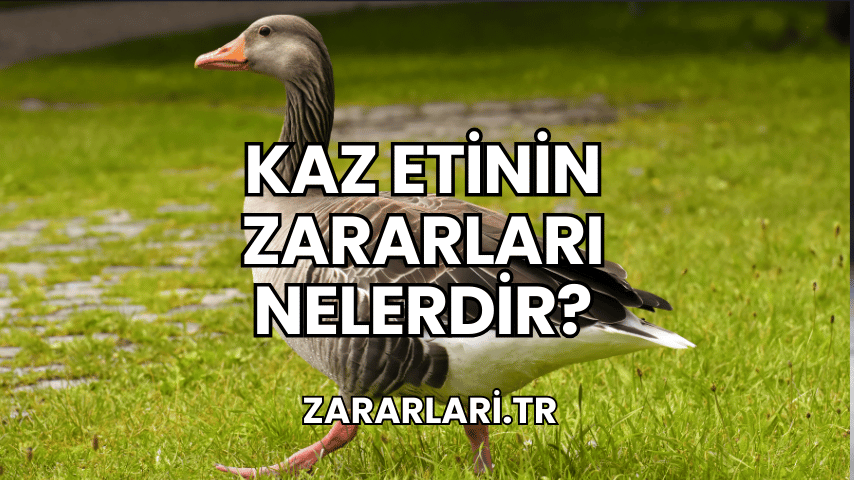 Kaz Etinin Zararları Nelerdir?