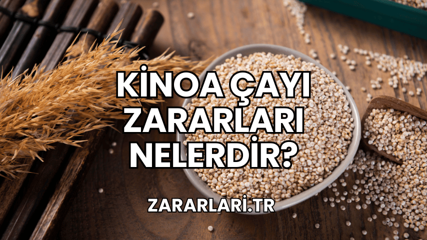 Kinoa Çayı Zararları Nelerdir?