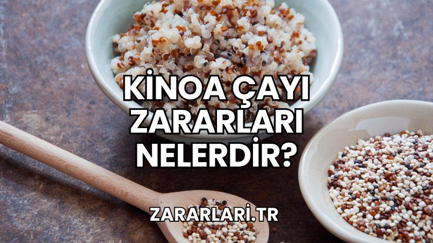 Kinoa Çayı Zararları Nelerdir?