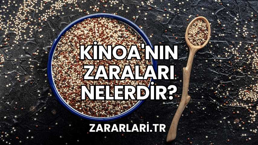 Kinoa'nın Zaraları Nelerdir?