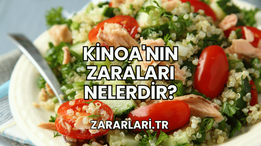 Kinoa'nın Zaraları Nelerdir?