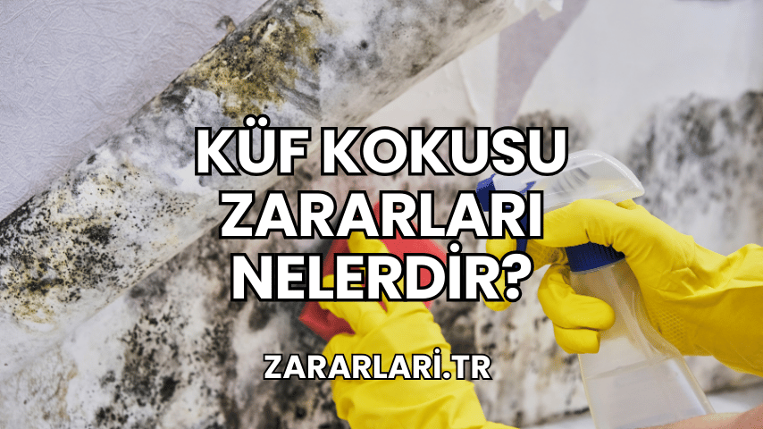 Küf Kokusu Zararları Nelerdir?