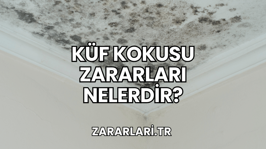 Küf Kokusu Zararları Nelerdir?