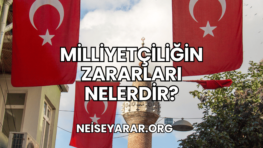 Milliyetçiliğin Zararları Nelerdir