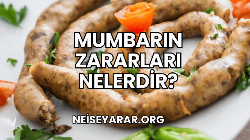 Mumbarın Zararları Nelerdir?