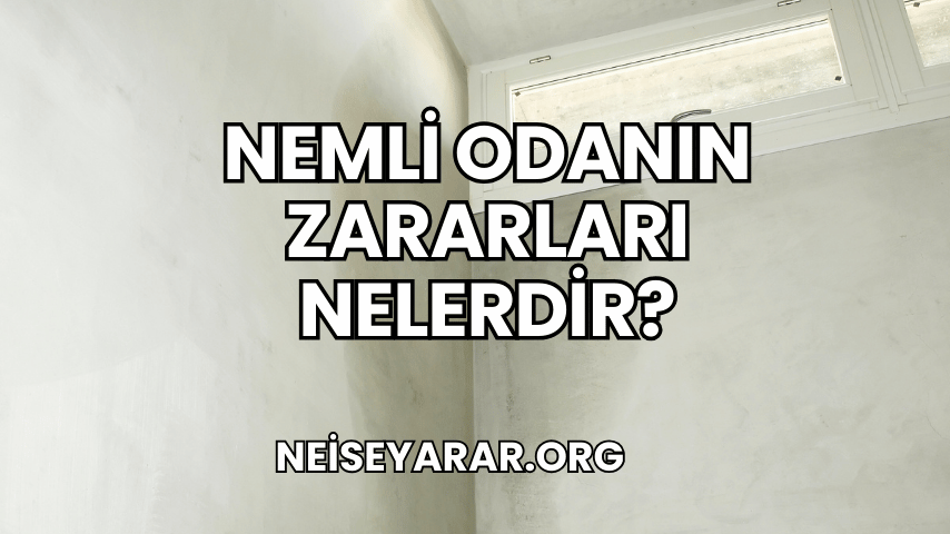 Nemli Odanın Zararları Nelerdir