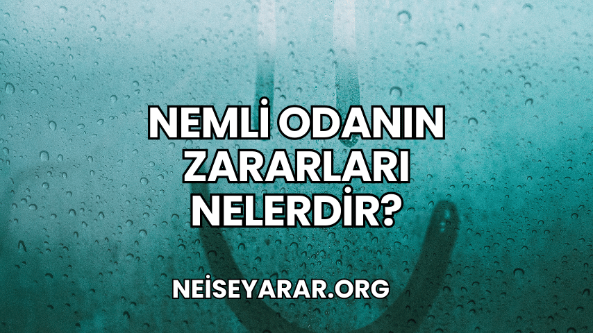 Nemli Odanın Zararları Nelerdir