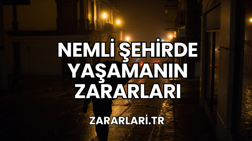 Nemli Şehirde Yaşamanın Zararları