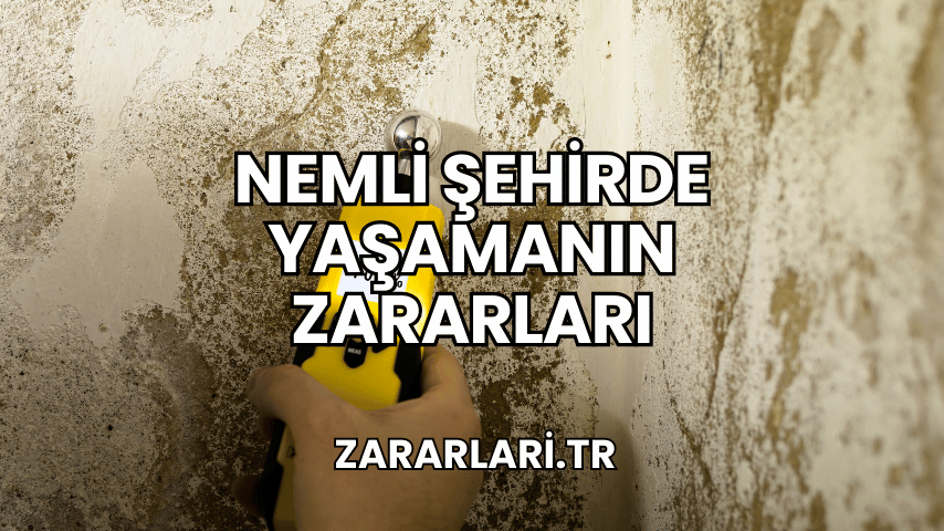 Nemli Şehirde Yaşamanın Zararları