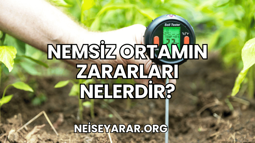 Nemsiz Ortamın Zararları Nelerdir?