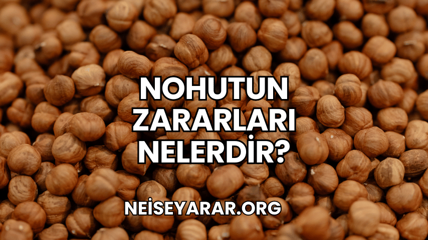 Nohutun Zararları Nelerdir