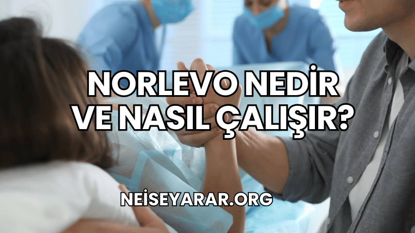 Norlevo Nedir ve Nasıl Çalışır 