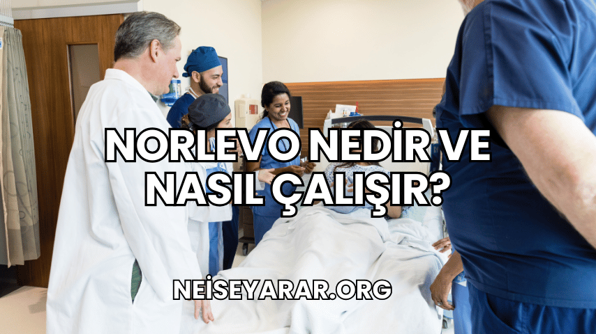 Norlevo Nedir ve Nasıl Çalışır 