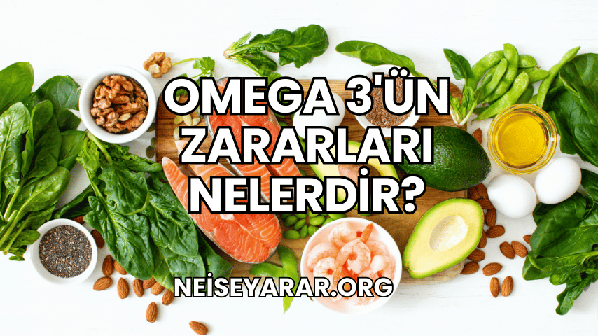 Omega 3'ün Zararları Nelerdir 