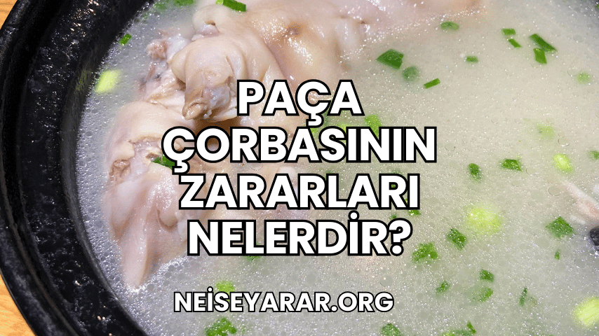 Paça Çorbasının Zararları Nelerdir?