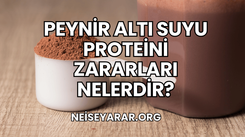 Peynir Altı Suyu Proteini Zararları Nelerdir?