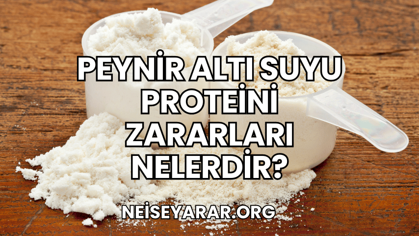 Peynir Altı Suyu Proteini Zararları Nelerdir?