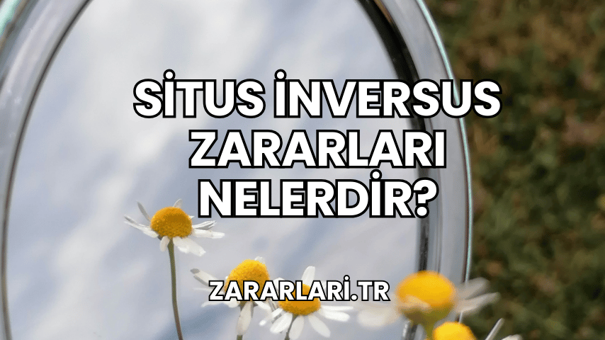 Situs İnversus Zararları Nelerdir?